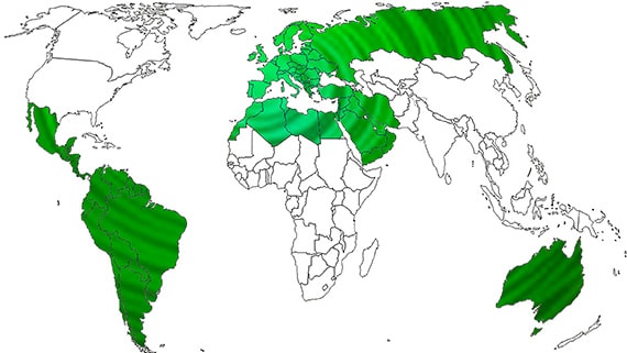 Ezarri mundu osora hedatzea