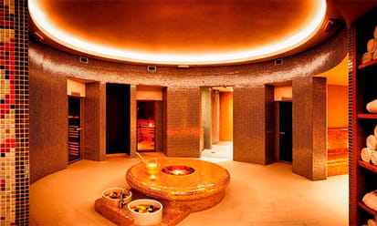 Ezarriren arlo profesionala