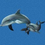 Digital printing image Dolphin Family in Mosaic Tile - Ezarri