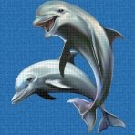 Digital printing image Happy Dolphins in mosaic tiles - Ezarri